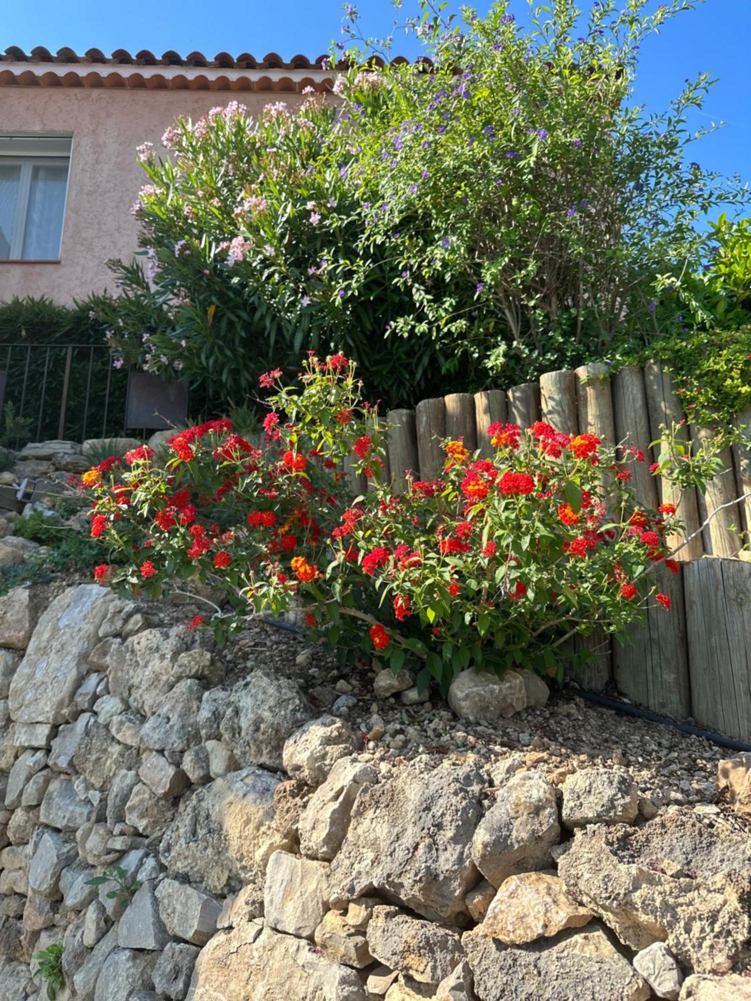 Les Amandiers Apartamento Draguignan Exterior foto