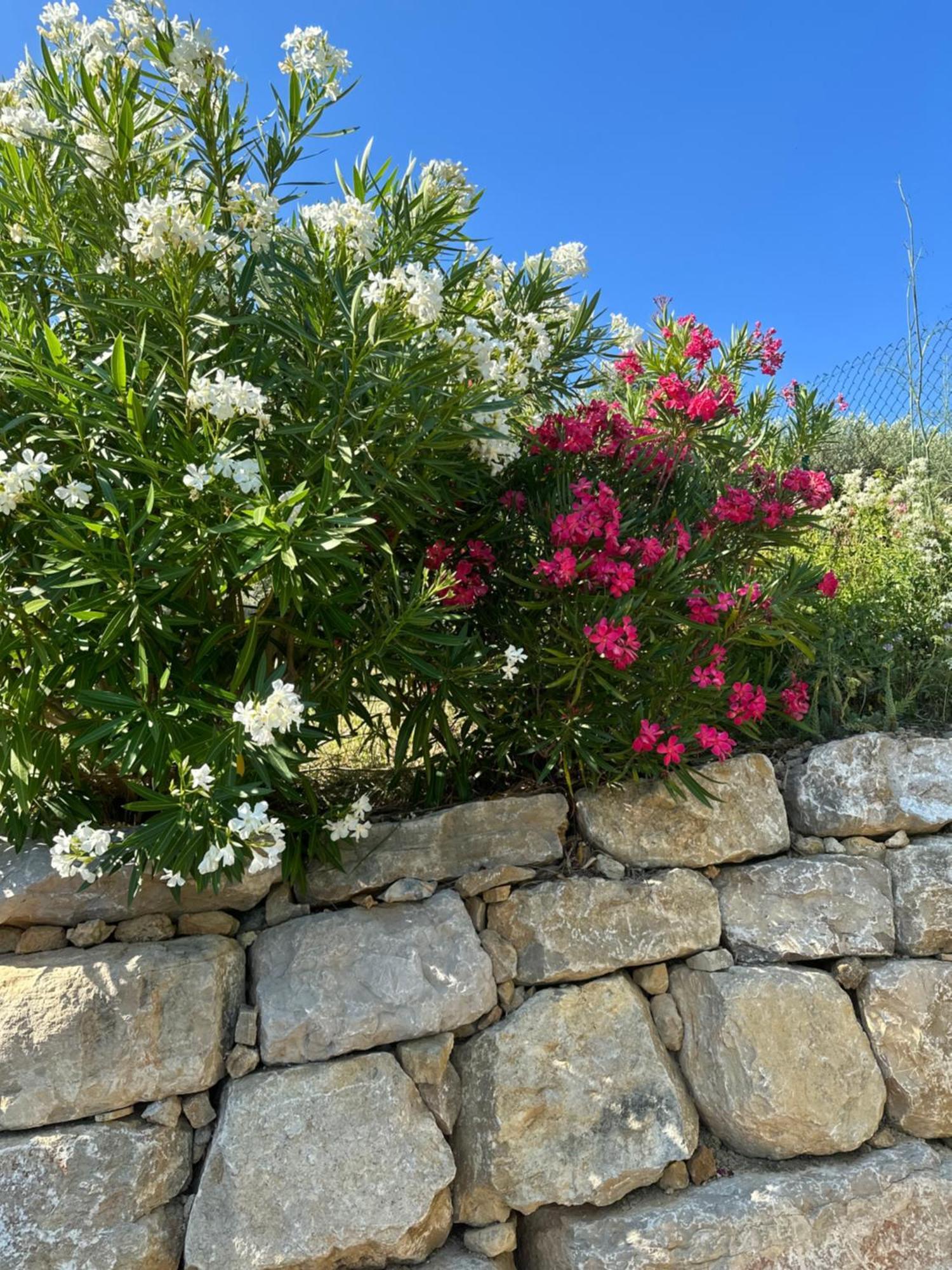 Les Amandiers Apartamento Draguignan Exterior foto